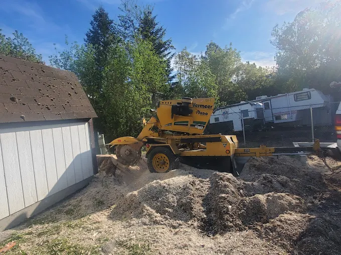 Usa tree service Image